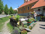 IMG_3186.JPG