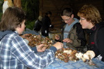 DSCN3650.JPG
