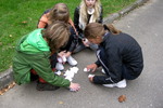 DSCN3673.JPG