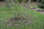 DSCN3674.JPG