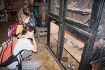 IMG_3377.jpg