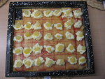 IMG_1430.JPG