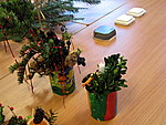 IMG_0414.jpg