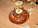 IMG_0419.jpg