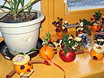 IMG_0422.jpg