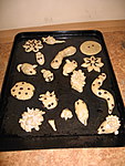 IMG_0439.jpg