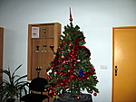 IMG_0448.jpg