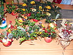 P1100931.jpg