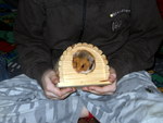 IMG_0023.JPG
