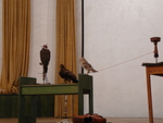 P1080555.JPG