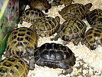 IMG_0773.JPG