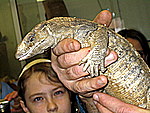 IMG_0784.JPG
