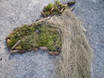 IMG_0801.JPG