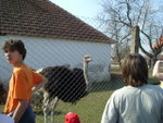 DSCF4944.JPG