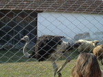 DSCF4948.JPG