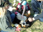 DSCF4954.JPG