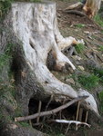 IMG_0961.JPG