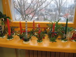 IMG_2951.JPG