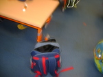 DSC01525.JPG