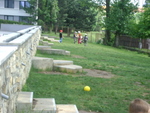 DSC01536.JPG