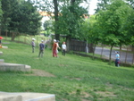 DSC01537.JPG