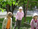 DSC01546.JPG