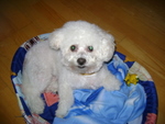 DSC03772.JPG