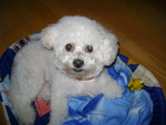 DSC03773.JPG