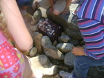 DSC07327.JPG