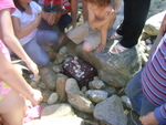 DSC07328.JPG
