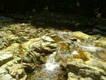 DSC06915.JPG