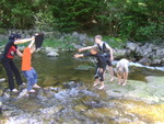 DSC06937.JPG