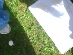 DSC06995.JPG