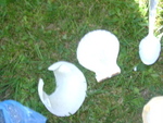 DSC06996.JPG