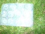 DSC06997.JPG