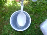 DSC06999.JPG