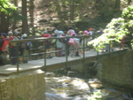 DSC07022.JPG