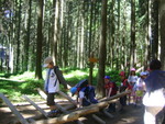 DSC07037.JPG