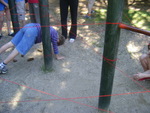 DSC07040.JPG