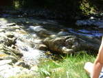 DSC07060.JPG