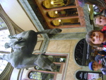 DSC01459.JPG