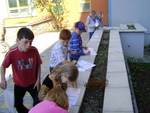 DSC03520.JPG