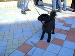 DSC03533.JPG