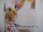 DSC02273.JPG