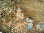 DSC01931.JPG