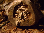 DSC01937.JPG
