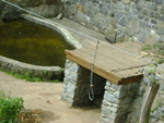 DSC02195.JPG