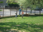 DSC01102.JPG