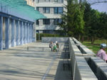 DSC01103.JPG