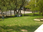 DSC01104.JPG